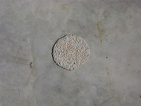 IMG_1128 (Medium).JPG