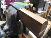 DSCN5622.jpg