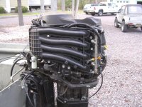 DSCN5157.jpg