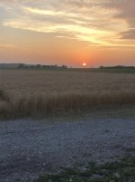 IMG_1341.jpg