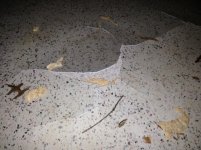 IMG_1089.jpg