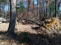IMG_20171124_114949.jpg