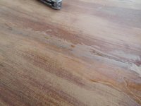 DSCN5428.jpg