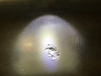 IMG_3928.JPG