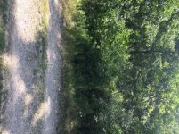 IMG_1072.jpg