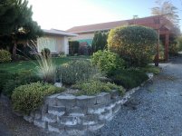 trimmed up bushes plan to put cement border around and pull bricks 3.jpg