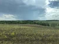 IMG_1098.jpg