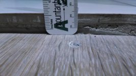 IMG_20180220_121658740.jpg