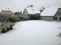 IMG_0158.jpg