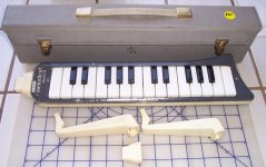 YS3 melodica.jpg