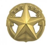 navy-command-at-sea-badge-lapel-pin-26.jpg