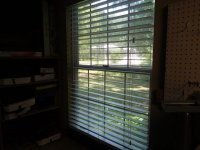 DSCN6572.jpg