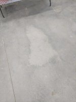 IMG_20180724_091811.jpg