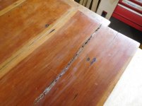 DSCN5229.jpg