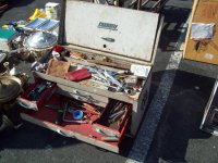 cornwell flea.jpg