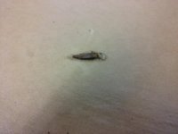 20180422_110340.jpg