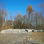 IMG_20171108_120357.jpg
