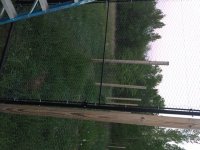 Small gate done.jpg