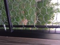 Gate detail.jpg