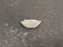 20180423-07.jpg