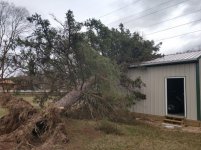 tree into barn 2.jpg