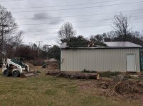 tree into barn 3.jpg