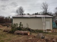 tree into barn done!!!.jpg