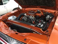 IMG_7409.jpg