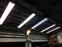 garage OH lights.01.jpeg