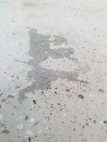 20180731_191244.jpg