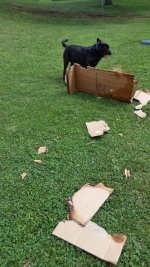 20180731_155116.jpg