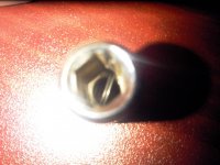 IMG00580-20100903-1443.jpg