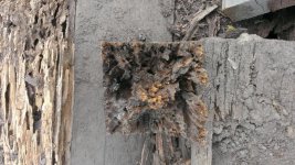 WP_20170805_007.jpg