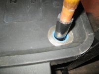 IMG_3882.JPG
