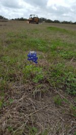 20180310_120444.jpg