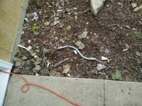 IMG_20161025_161036.jpg