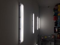 light.jpg