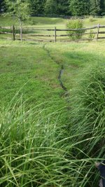 drainage2.jpg