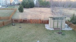 yard dry pond.jpg