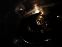 IMG_20180731_082038124.jpg