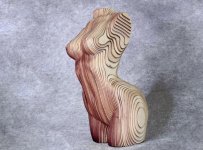 woman's body without legs or head.jpg