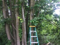 680A26F4-3D63-4922-BCEA-D67976966CAE.jpg