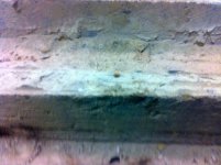 IMG_0198.jpg