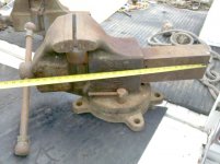 reed-1.jpg
