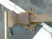 reed-2.jpg