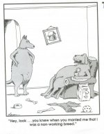 Non working breed 2 001.jpg