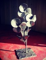 mollys flowers.JPG