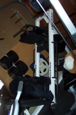 Nautilus Hip sled side view with gorilla.jpg