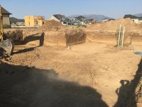 IMG_5986.jpg