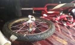 20180425_093933.jpg